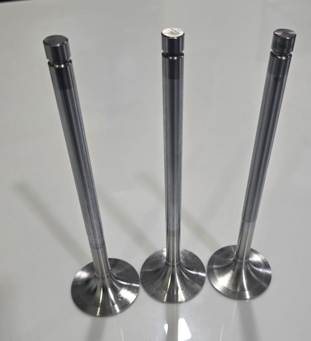 1910183 / 19.10.183 intake / exhuast valves