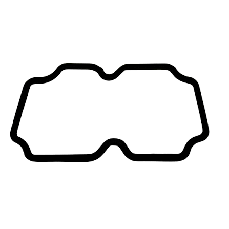 SCANIA VARIOUS SEALS